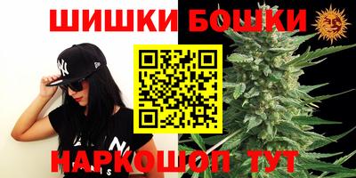 apvp Камышлов