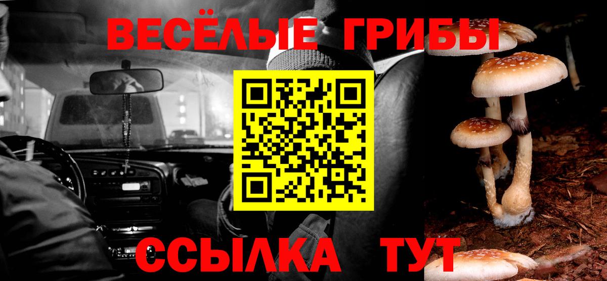 Псилоцибиновые грибы мицелий Краснокамск